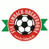 SpG FSV Limbach-O. U8/TuS Pleißa
