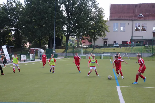 14.09.2019 Oberlungwitzer SV vs. Meeraner SV
