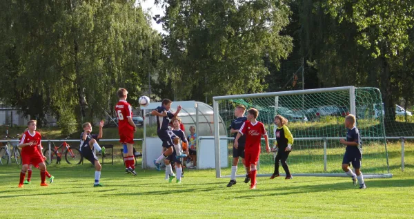 25.08.2015 SV Einheit Altenburg vs. Meeraner SV