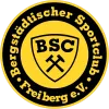 BSC Freiberg