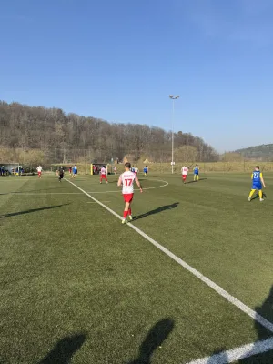 09.03.2025 SV Waldenburg 1844 vs. Meeraner SV