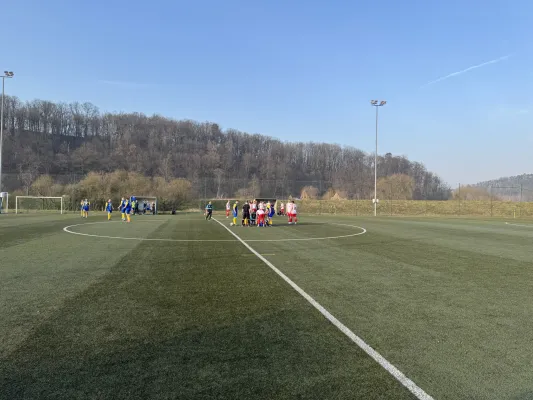 09.03.2025 SV Waldenburg 1844 vs. Meeraner SV