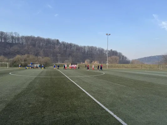 09.03.2025 SV Waldenburg 1844 vs. Meeraner SV